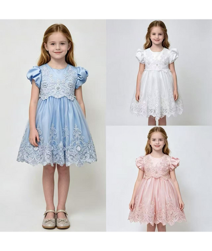 Fancy Net Frock With Rhinestones | Peakachu